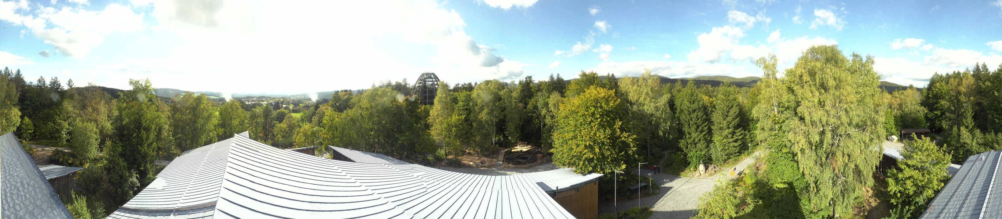Archiv Foto Webcam Neuschönau - Baumwipfelpfad Bayerischer Wald