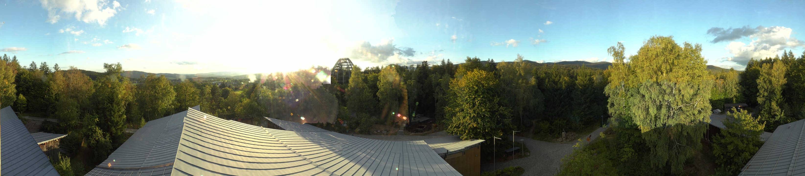 Archiv Foto Webcam Neuschönau - Baumwipfelpfad Bayerischer Wald