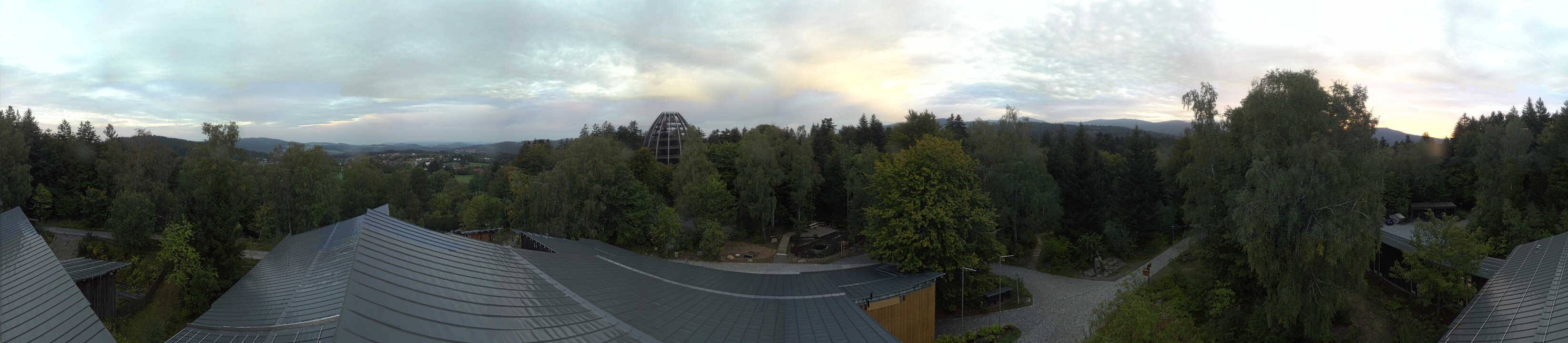 Archiv Foto Webcam Neuschönau - Baumwipfelpfad Bayerischer Wald