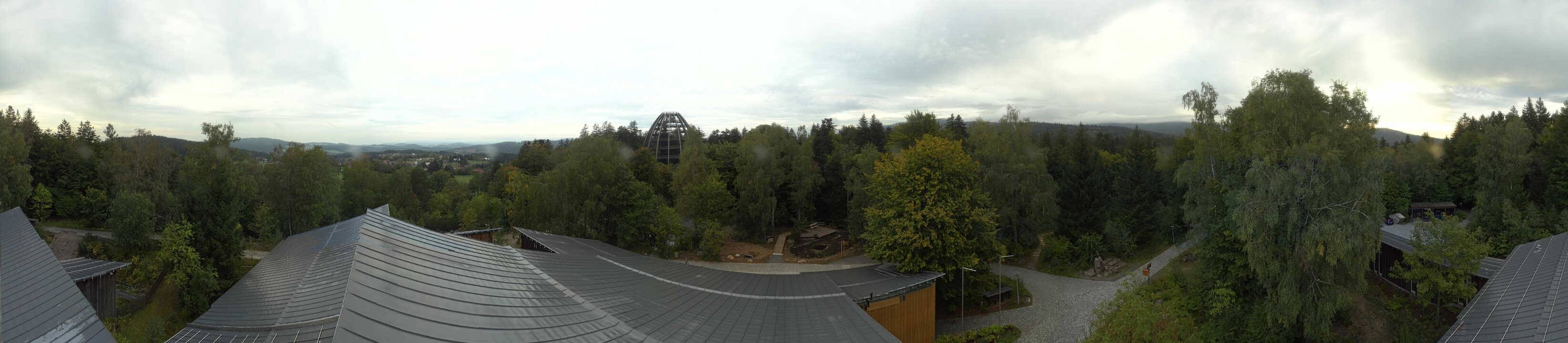 Archiv Foto Webcam Neuschönau - Baumwipfelpfad Bayerischer Wald