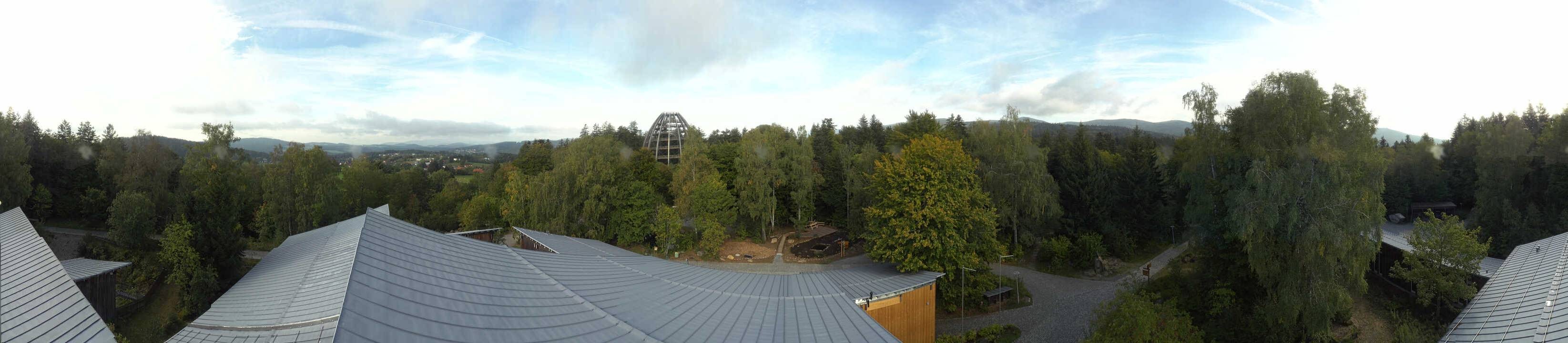 Archiv Foto Webcam Neuschönau - Baumwipfelpfad Bayerischer Wald