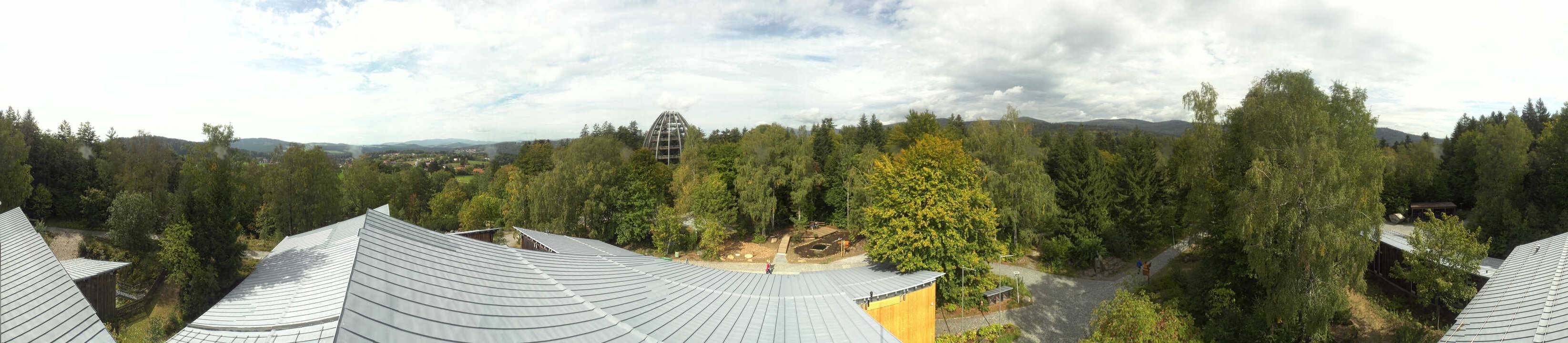 Archiv Foto Webcam Neuschönau - Baumwipfelpfad Bayerischer Wald
