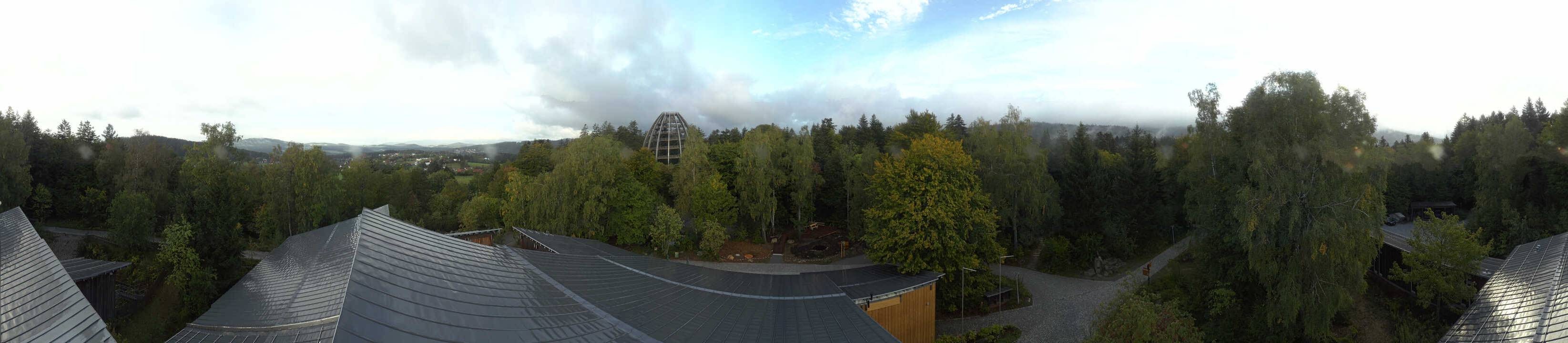 Archived image Webcam Neuschönau - Tree Top Walk Bavarian Forest
