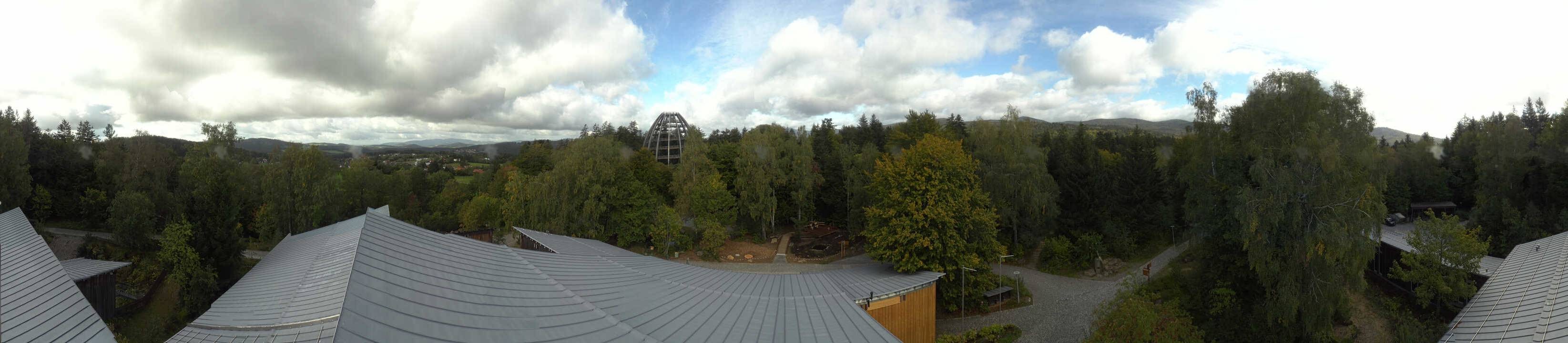 Archived image Webcam Neuschönau - Tree Top Walk Bavarian Forest