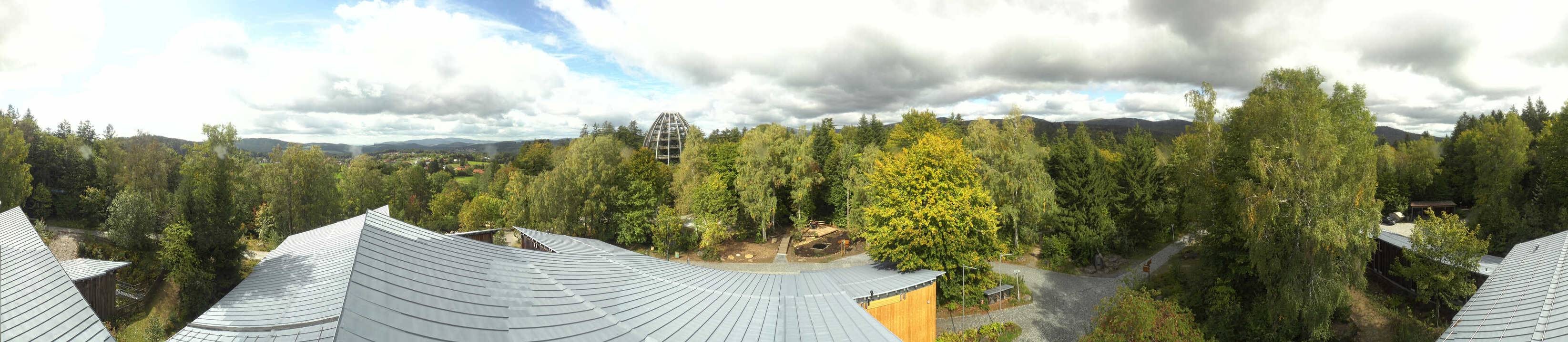Archived image Webcam Neuschönau - Tree Top Walk Bavarian Forest