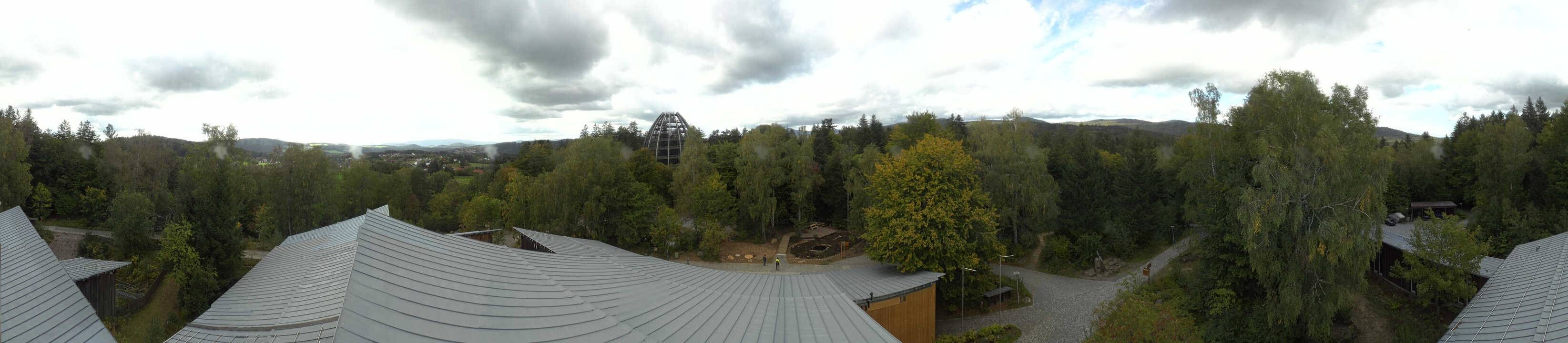 Archived image Webcam Neuschönau - Tree Top Walk Bavarian Forest