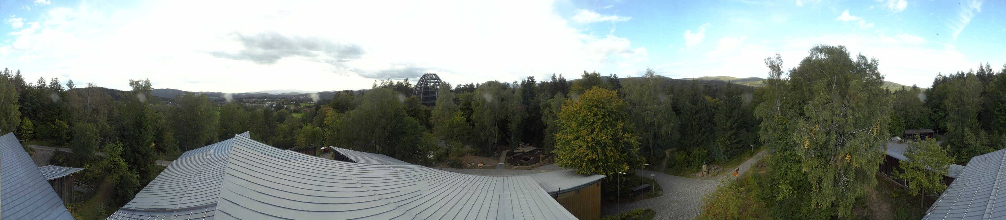 Archiv Foto Webcam Neuschönau - Baumwipfelpfad Bayerischer Wald