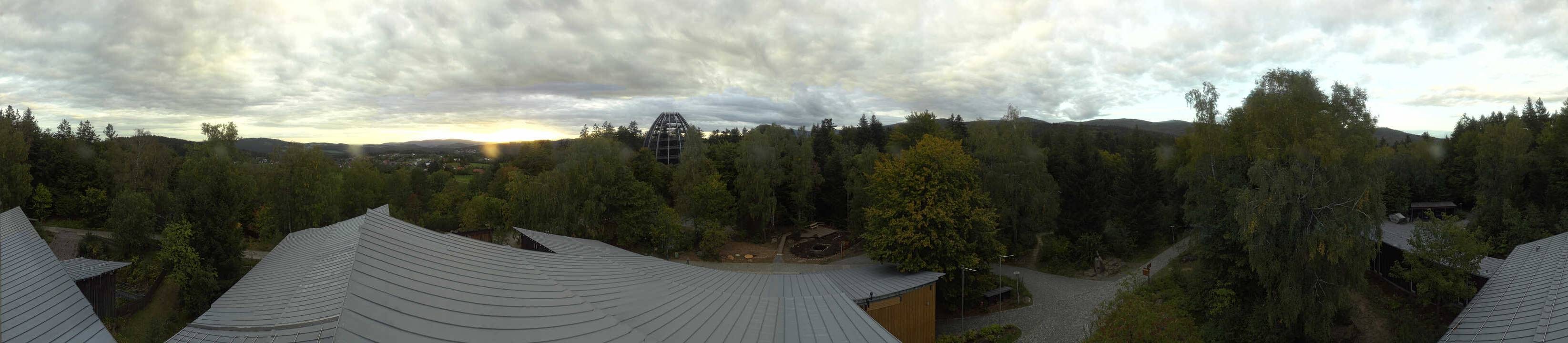 Archiv Foto Webcam Neuschönau - Baumwipfelpfad Bayerischer Wald