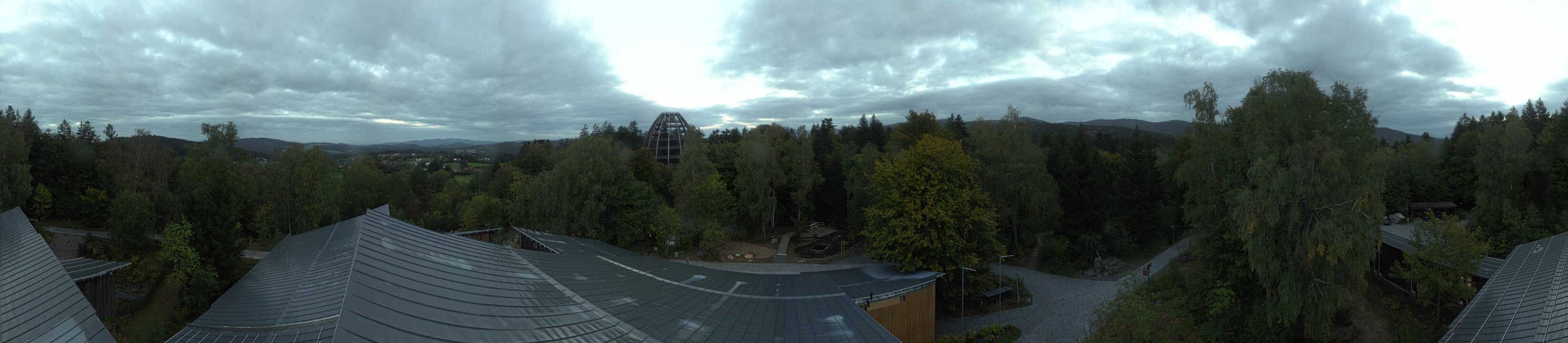 Archiv Foto Webcam Neuschönau - Baumwipfelpfad Bayerischer Wald