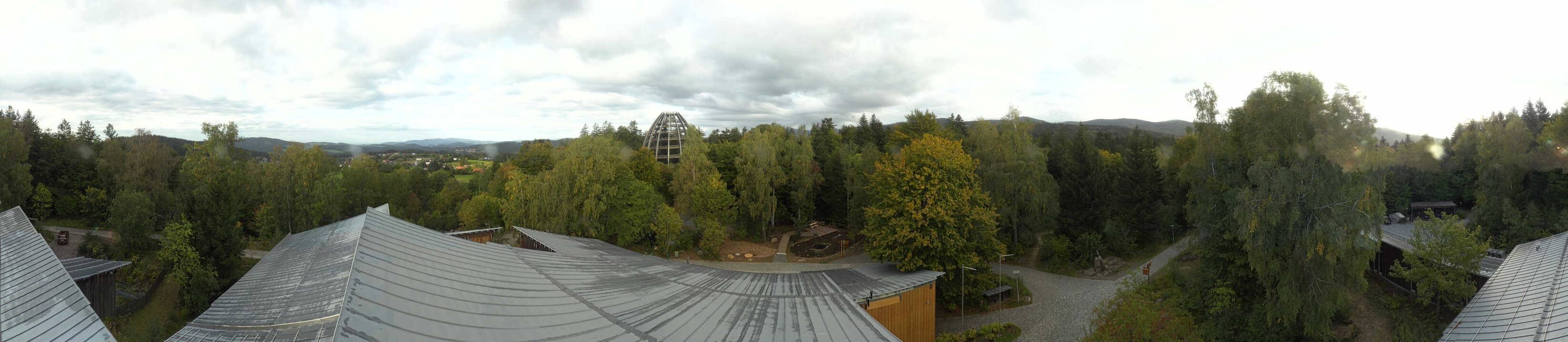 Archiv Foto Webcam Neuschönau - Baumwipfelpfad Bayerischer Wald