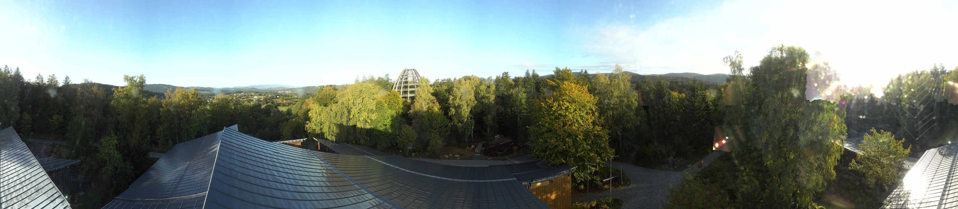 Archiv Foto Webcam Neuschönau - Baumwipfelpfad Bayerischer Wald