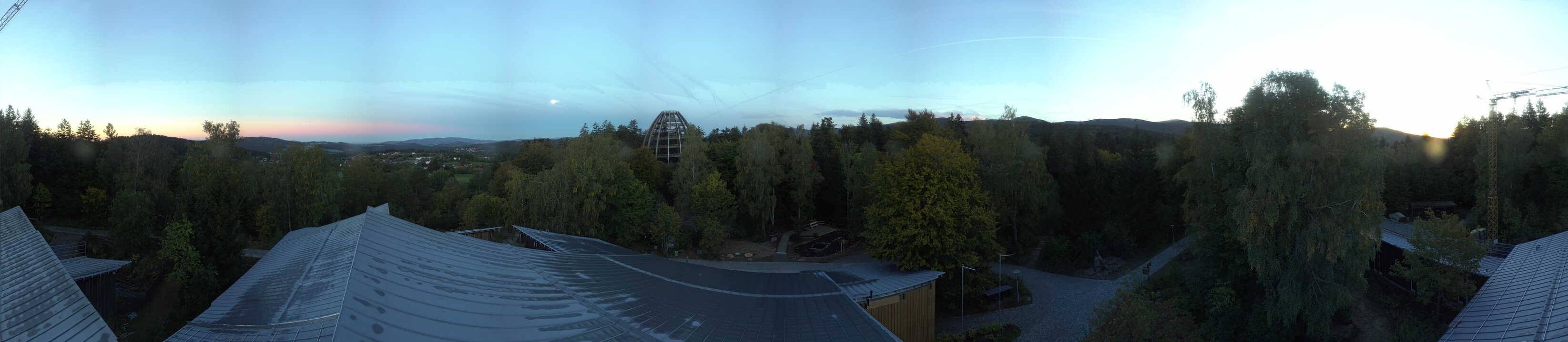 Archiv Foto Webcam Neuschönau - Baumwipfelpfad Bayerischer Wald