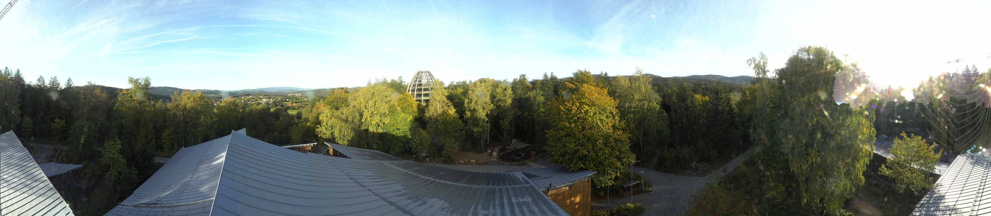 Archiv Foto Webcam Neuschönau - Baumwipfelpfad Bayerischer Wald