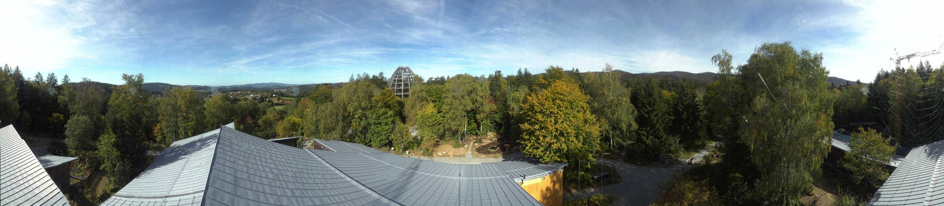 Archiv Foto Webcam Neuschönau - Baumwipfelpfad Bayerischer Wald