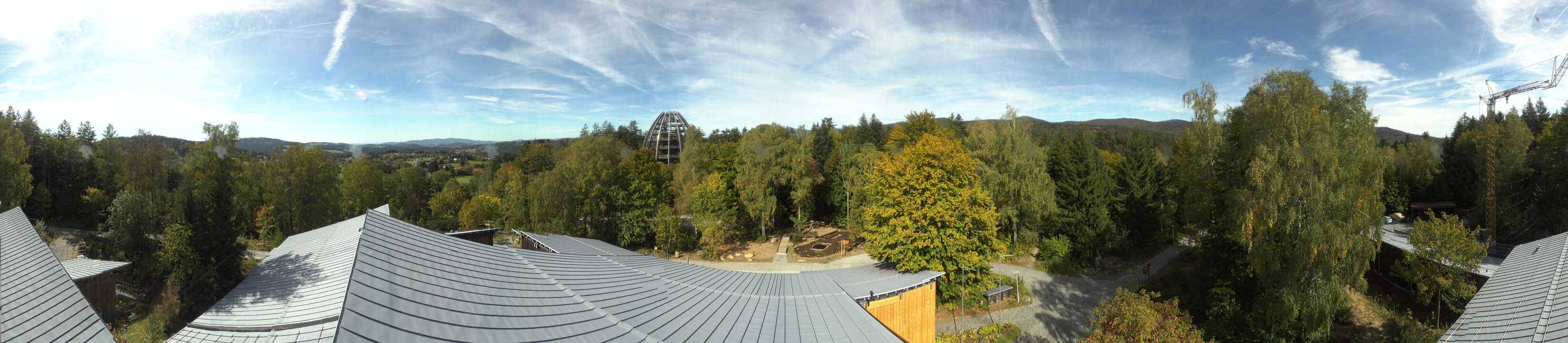 Archiv Foto Webcam Neuschönau - Baumwipfelpfad Bayerischer Wald