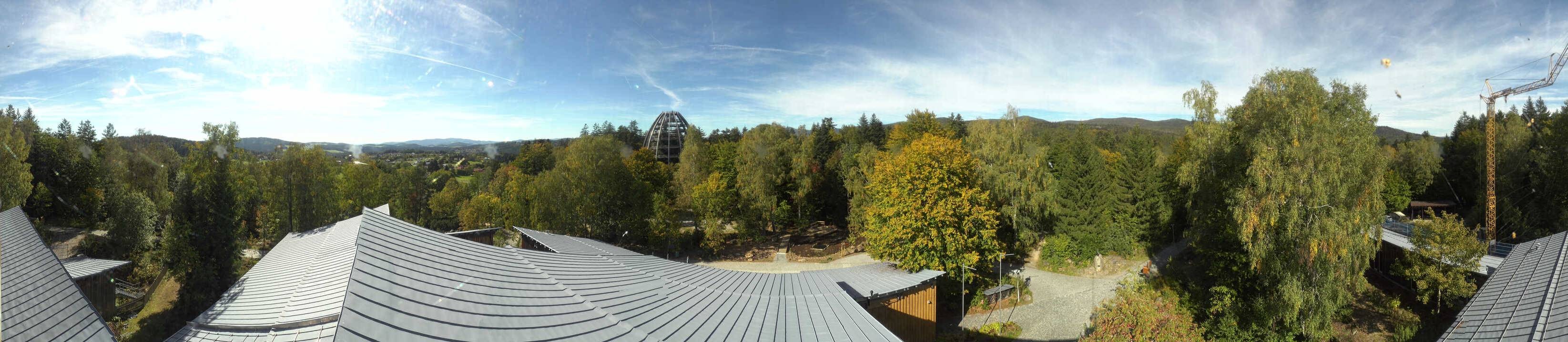 Archiv Foto Webcam Neuschönau - Baumwipfelpfad Bayerischer Wald