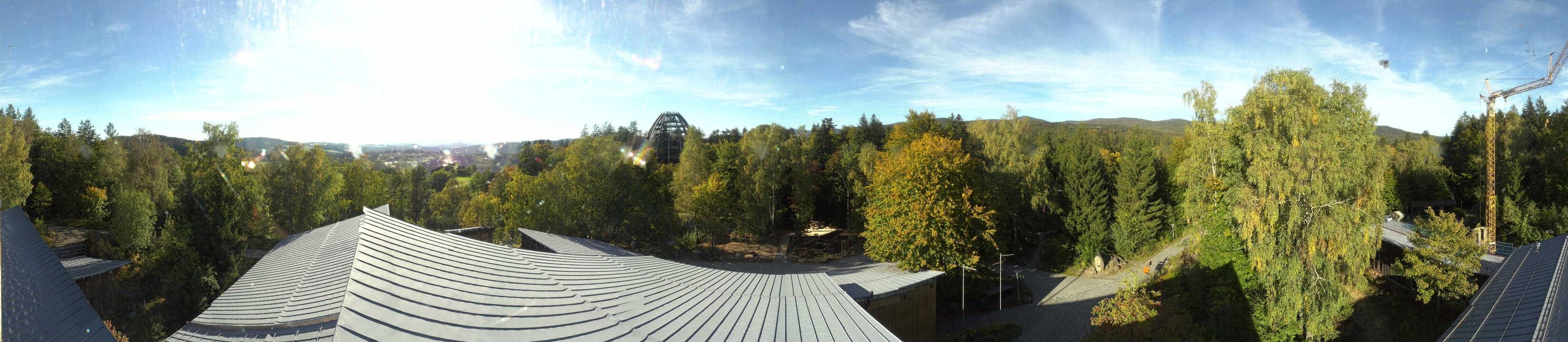 Archiv Foto Webcam Neuschönau - Baumwipfelpfad Bayerischer Wald