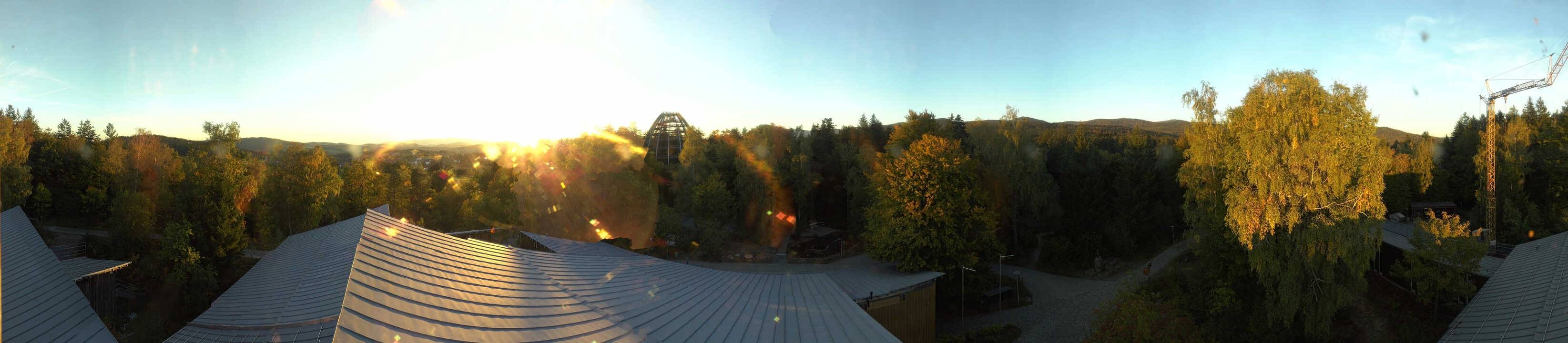 Archiv Foto Webcam Neuschönau - Baumwipfelpfad Bayerischer Wald
