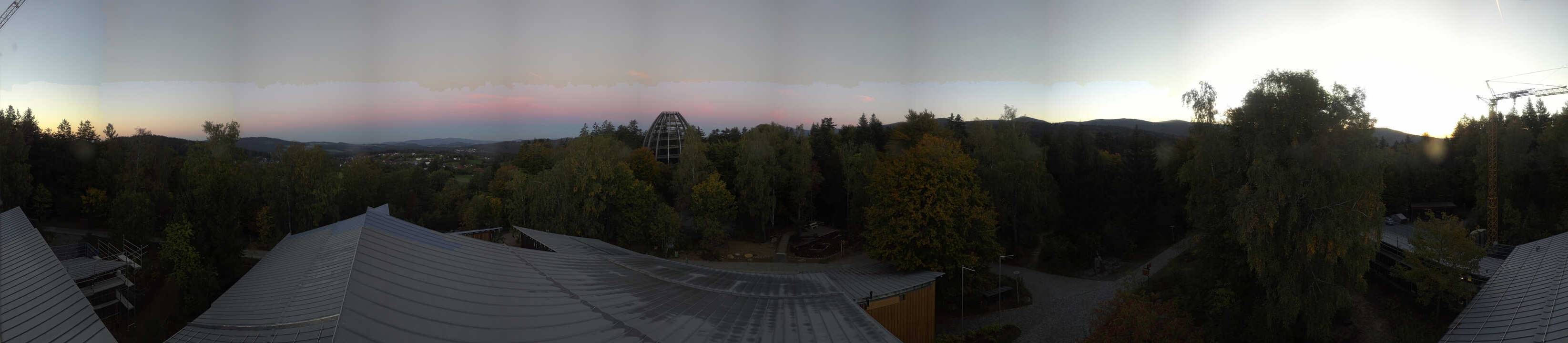 Archiv Foto Webcam Neuschönau - Baumwipfelpfad Bayerischer Wald