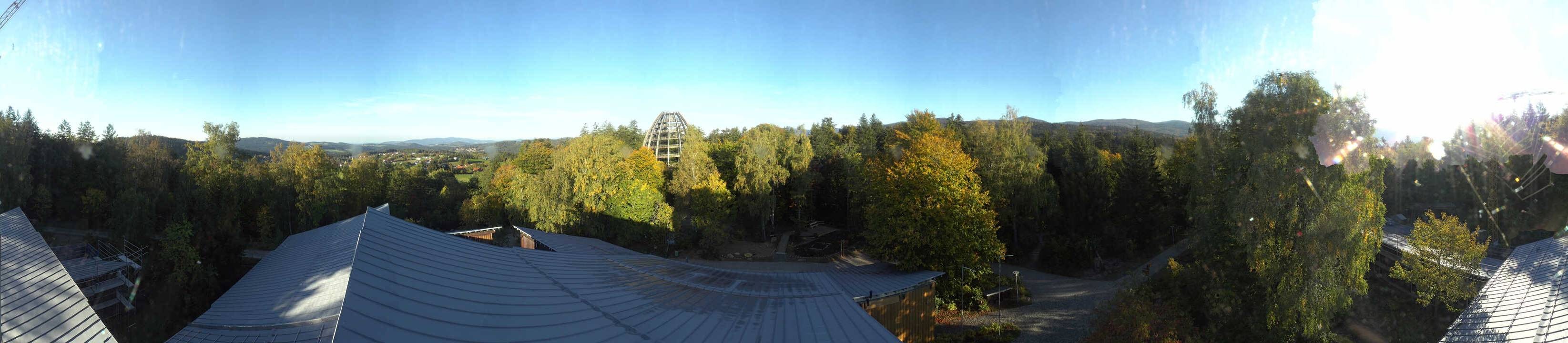 Archiv Foto Webcam Neuschönau - Baumwipfelpfad Bayerischer Wald
