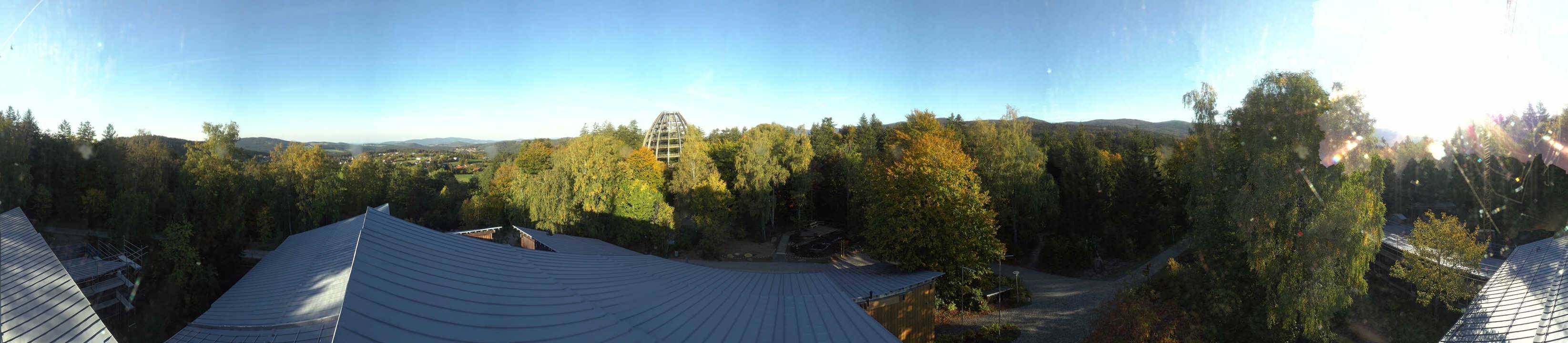 Archiv Foto Webcam Neuschönau - Baumwipfelpfad Bayerischer Wald