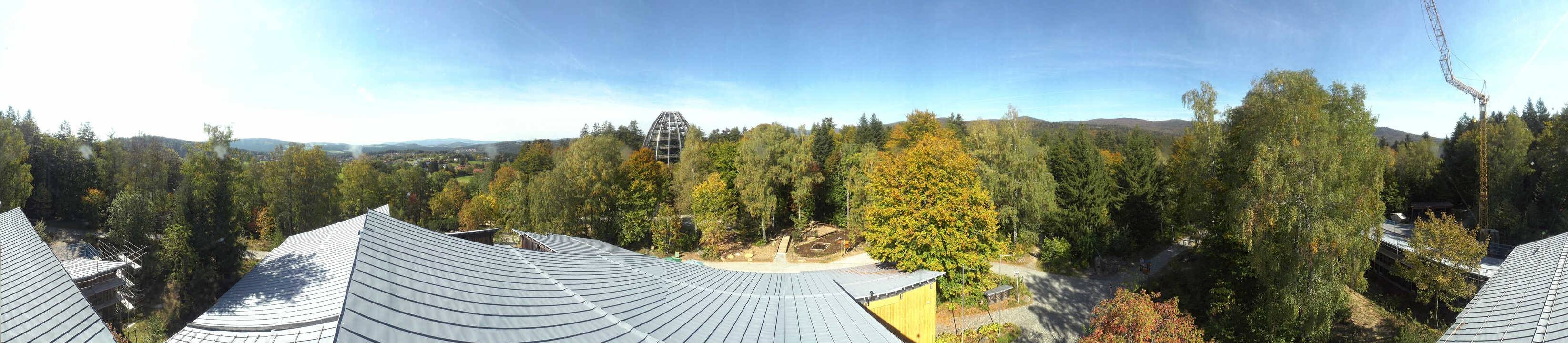 Archiv Foto Webcam Neuschönau - Baumwipfelpfad Bayerischer Wald