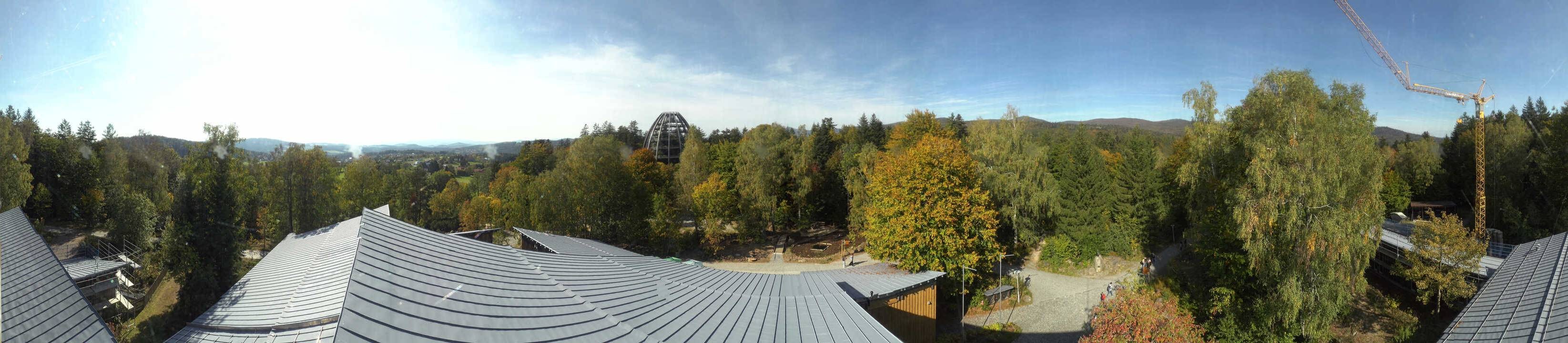 Archiv Foto Webcam Neuschönau - Baumwipfelpfad Bayerischer Wald