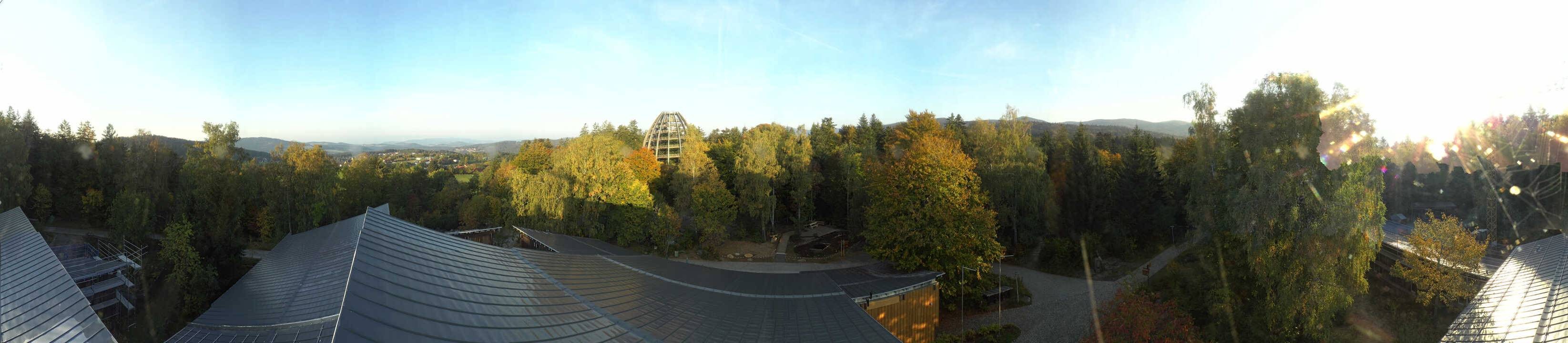 Archived image Webcam Neuschönau - Tree Top Walk Bavarian Forest
