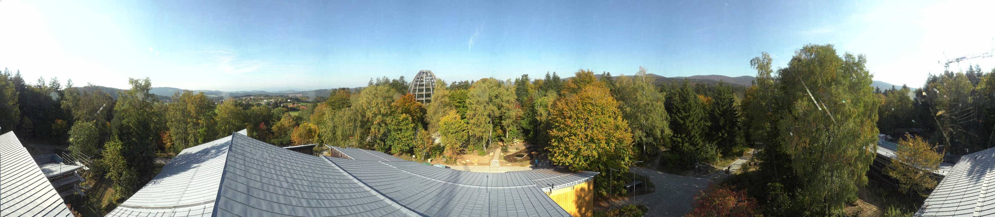 Archived image Webcam Neuschönau - Tree Top Walk Bavarian Forest
