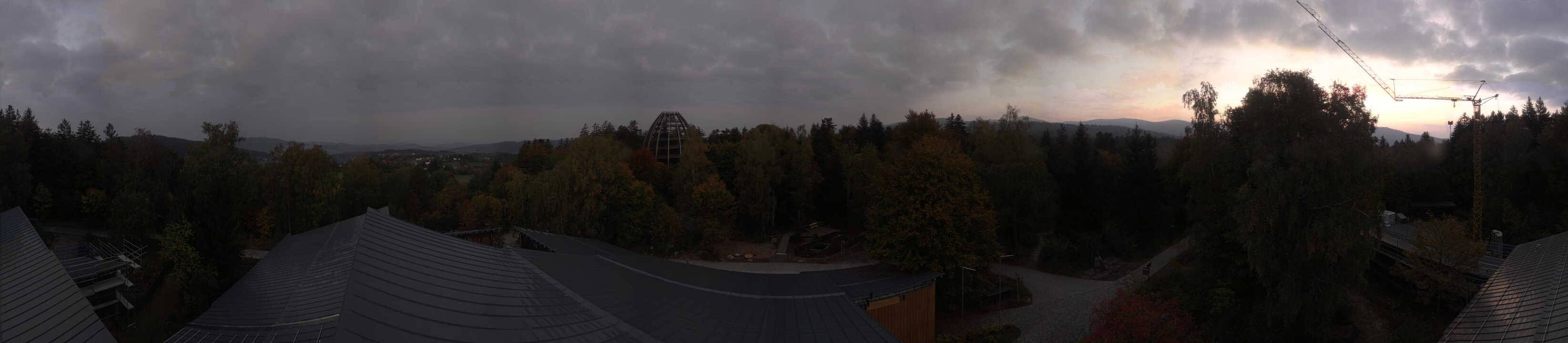 Archiv Foto Webcam Neuschönau - Baumwipfelpfad Bayerischer Wald
