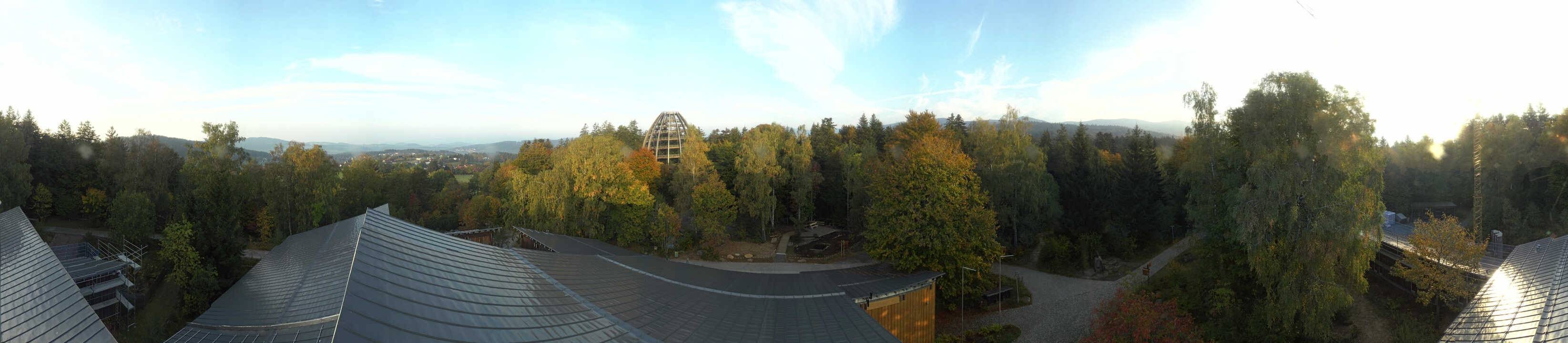 Archiv Foto Webcam Neuschönau - Baumwipfelpfad Bayerischer Wald