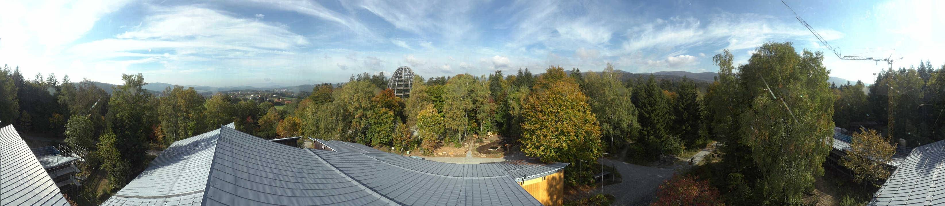Archiv Foto Webcam Neuschönau - Baumwipfelpfad Bayerischer Wald
