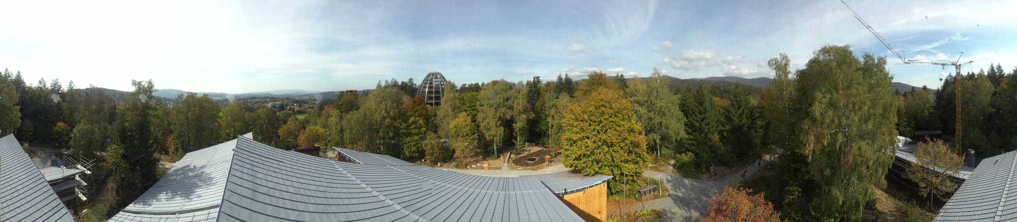 Archiv Foto Webcam Neuschönau - Baumwipfelpfad Bayerischer Wald