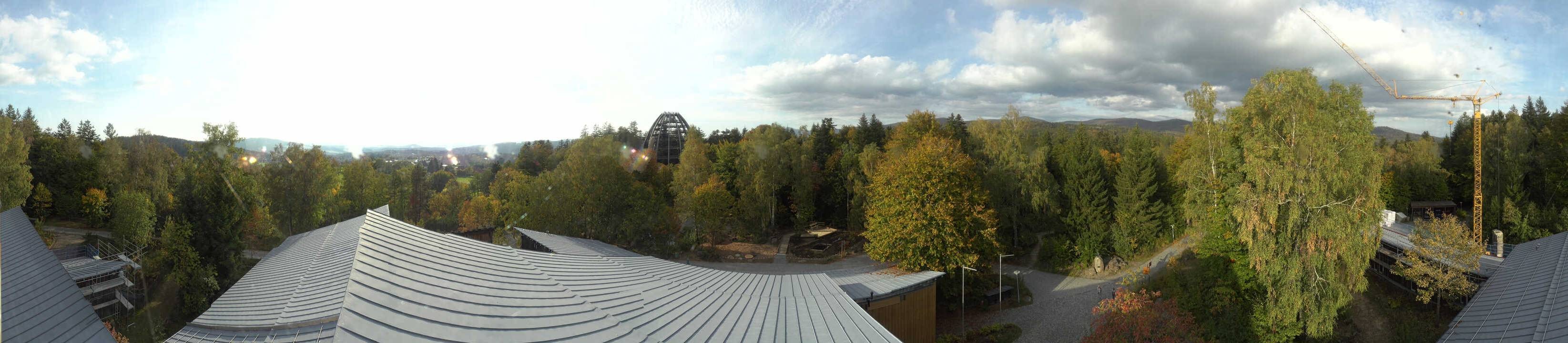 Archiv Foto Webcam Neuschönau - Baumwipfelpfad Bayerischer Wald
