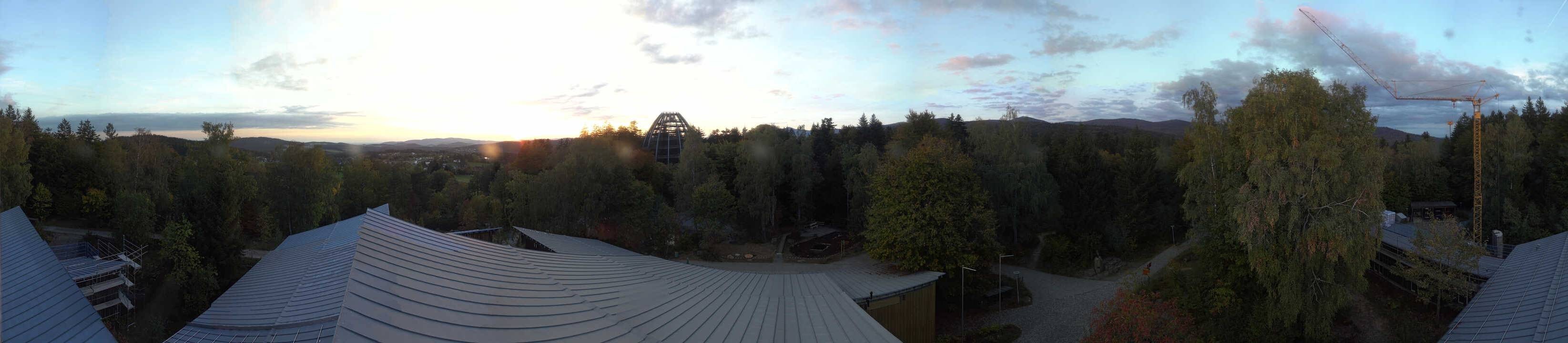 Archiv Foto Webcam Neuschönau - Baumwipfelpfad Bayerischer Wald