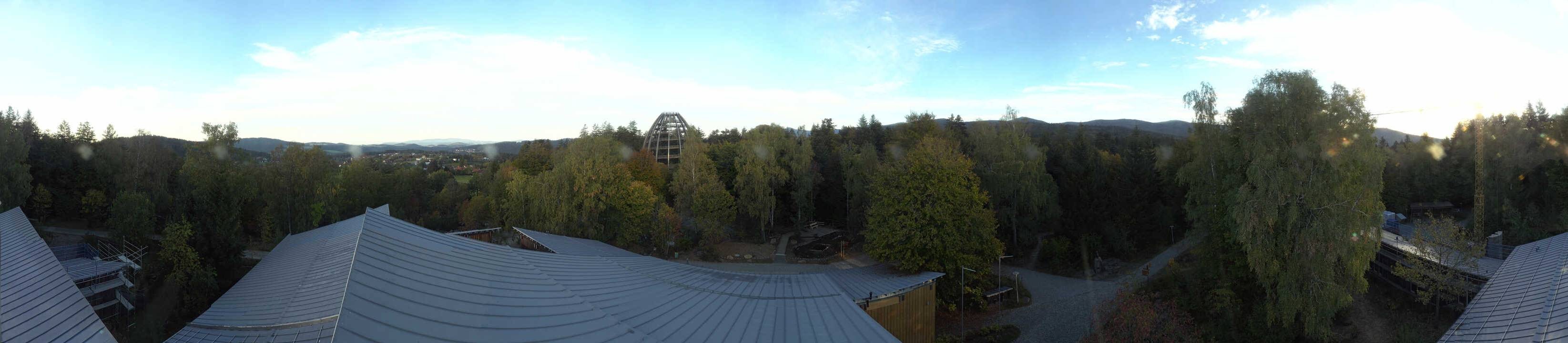 Archiv Foto Webcam Neuschönau - Baumwipfelpfad Bayerischer Wald