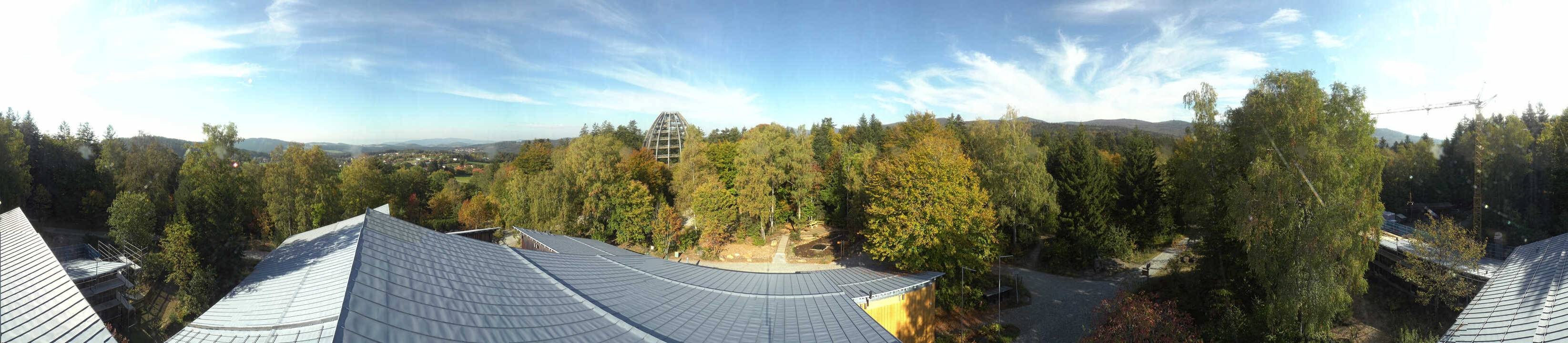 Archiv Foto Webcam Neuschönau - Baumwipfelpfad Bayerischer Wald