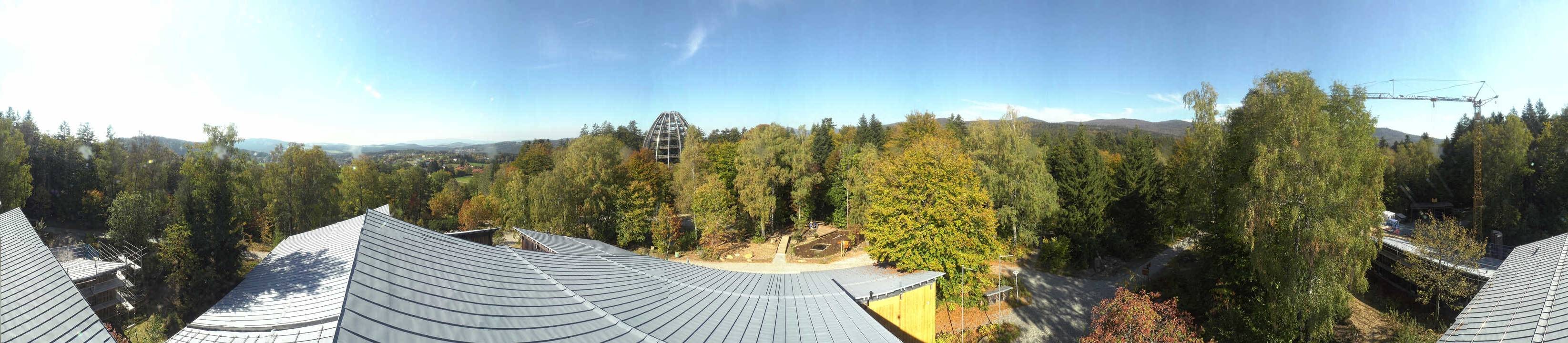 Archiv Foto Webcam Neuschönau - Baumwipfelpfad Bayerischer Wald