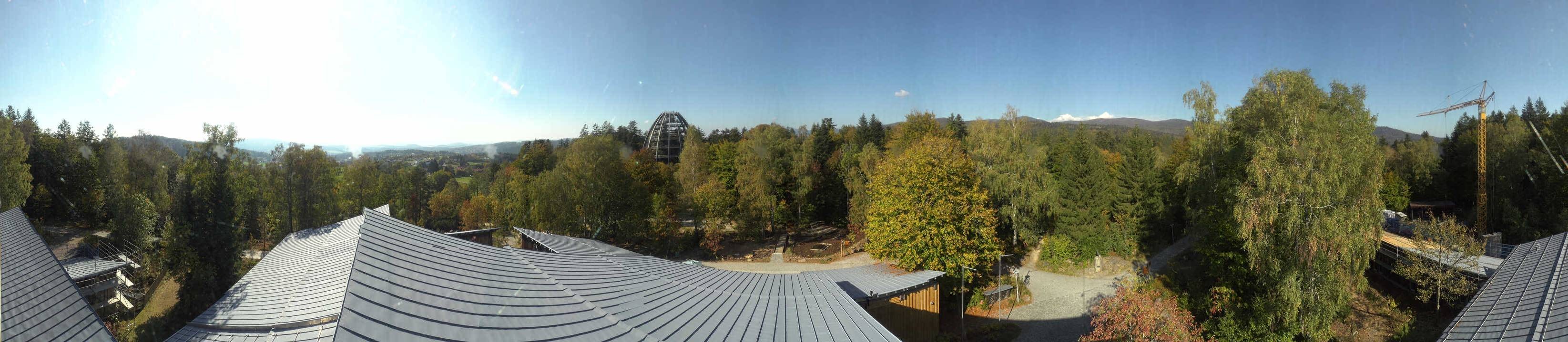 Archiv Foto Webcam Neuschönau - Baumwipfelpfad Bayerischer Wald