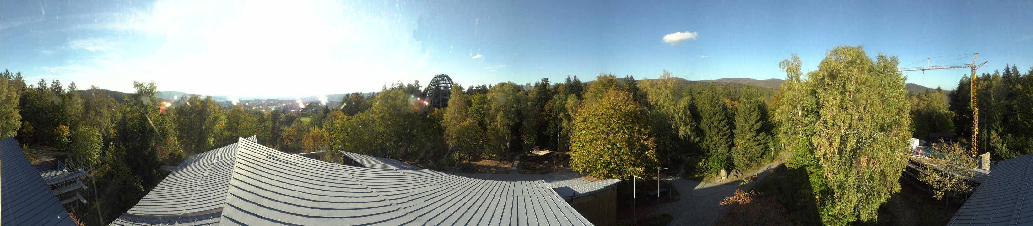 Archiv Foto Webcam Neuschönau - Baumwipfelpfad Bayerischer Wald