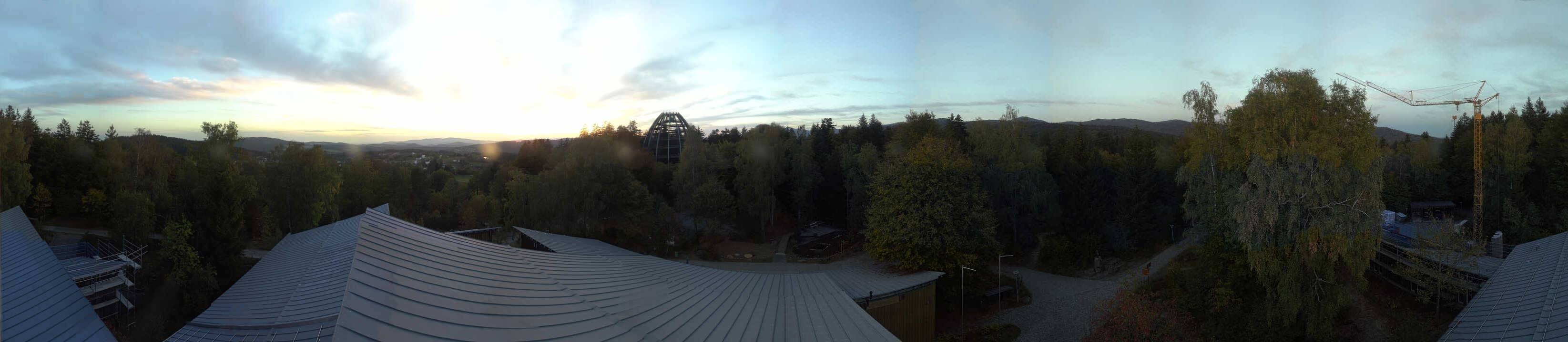 Archiv Foto Webcam Neuschönau - Baumwipfelpfad Bayerischer Wald
