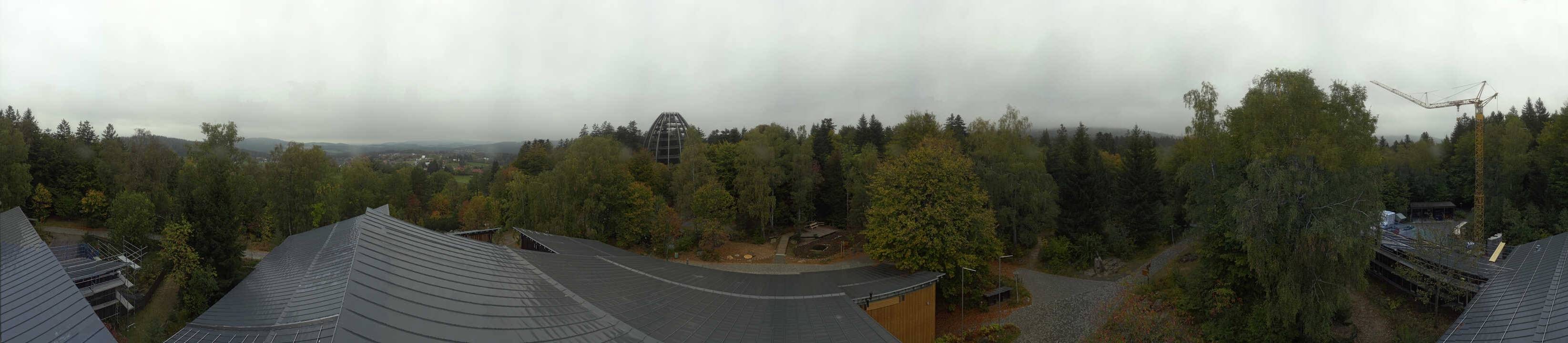 Archiv Foto Webcam Neuschönau - Baumwipfelpfad Bayerischer Wald