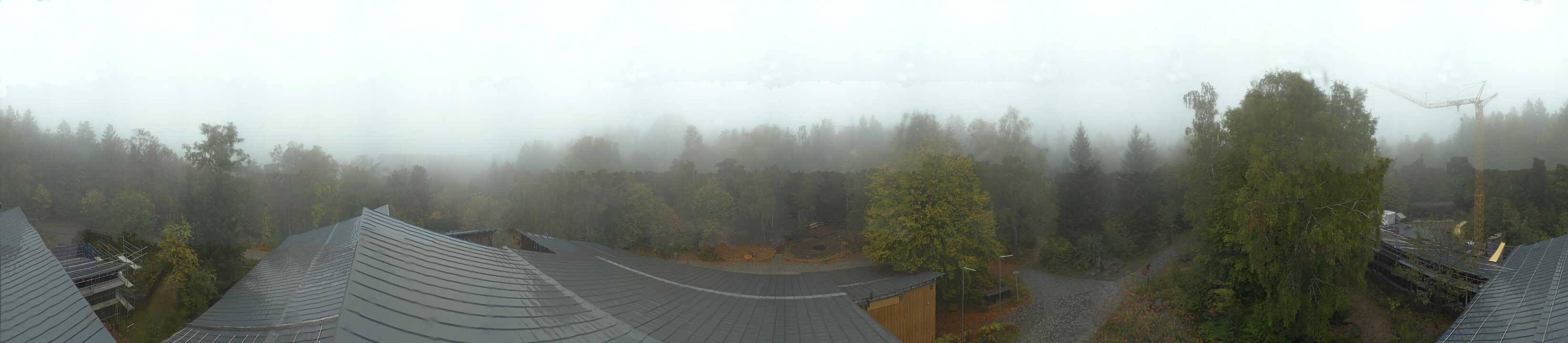 Archiv Foto Webcam Neuschönau - Baumwipfelpfad Bayerischer Wald