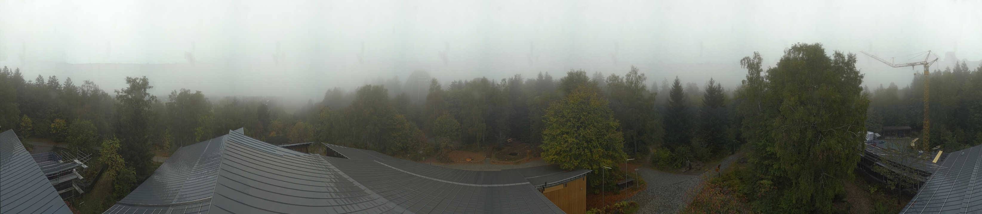 Archiv Foto Webcam Neuschönau - Baumwipfelpfad Bayerischer Wald