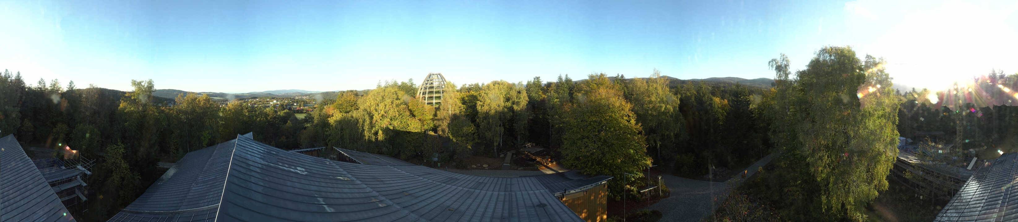 Archiv Foto Webcam Neuschönau - Baumwipfelpfad Bayerischer Wald