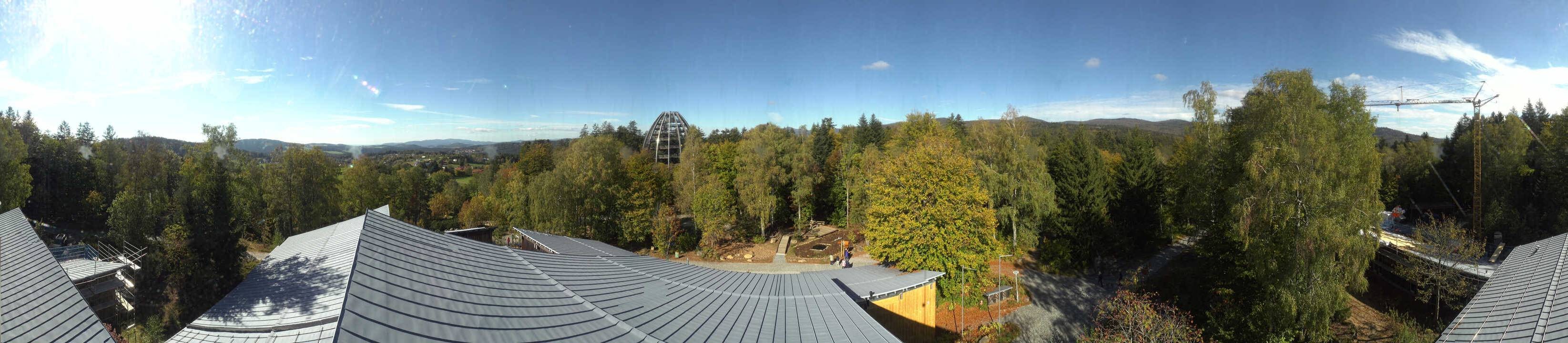 Archiv Foto Webcam Neuschönau - Baumwipfelpfad Bayerischer Wald
