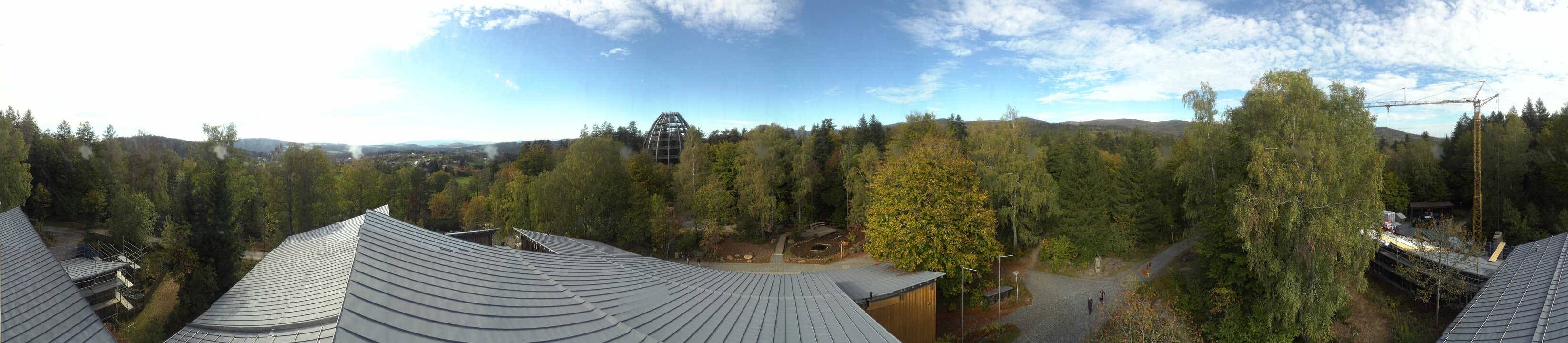 Archiv Foto Webcam Neuschönau - Baumwipfelpfad Bayerischer Wald