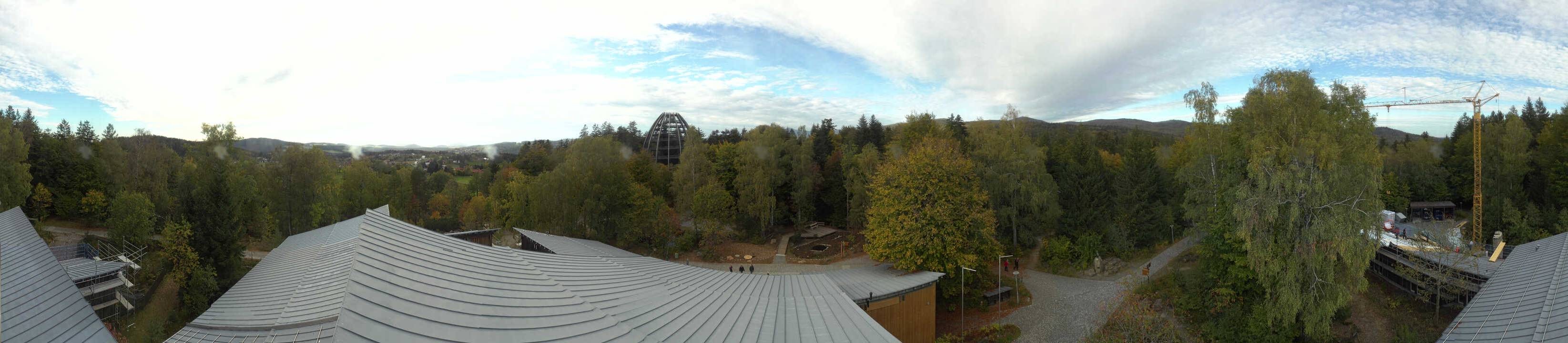 Archiv Foto Webcam Neuschönau - Baumwipfelpfad Bayerischer Wald