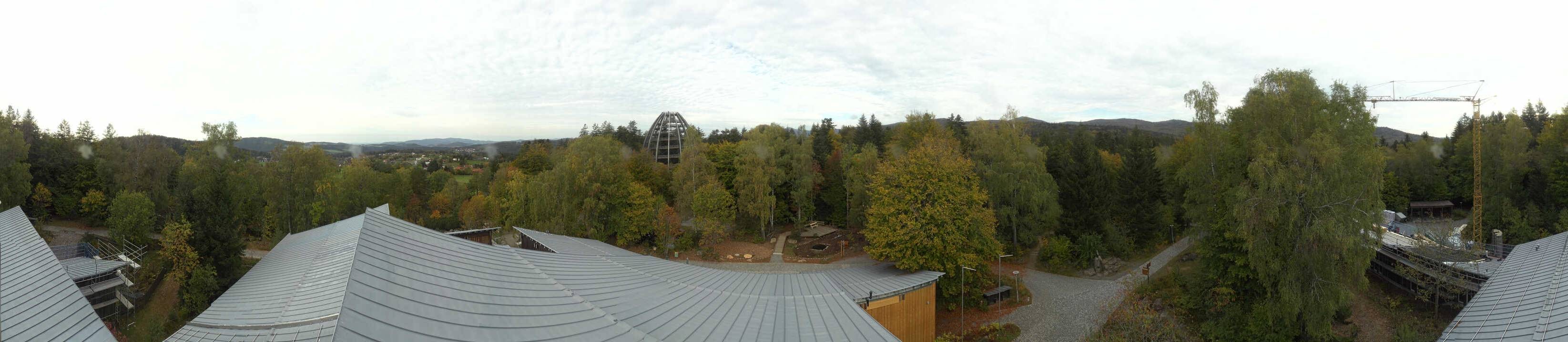 Archiv Foto Webcam Neuschönau - Baumwipfelpfad Bayerischer Wald