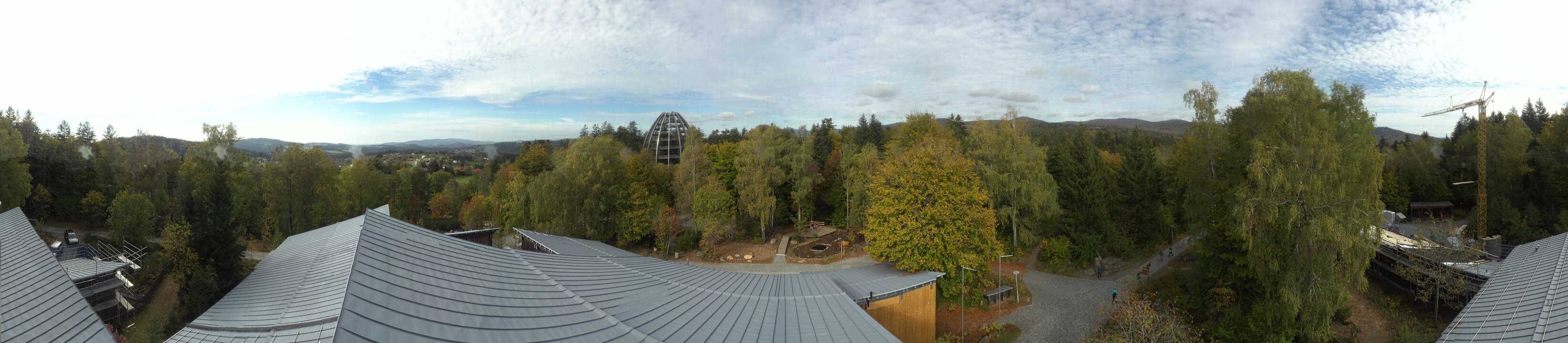 Archiv Foto Webcam Neuschönau - Baumwipfelpfad Bayerischer Wald